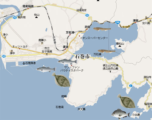 石巻市周辺の釣り場